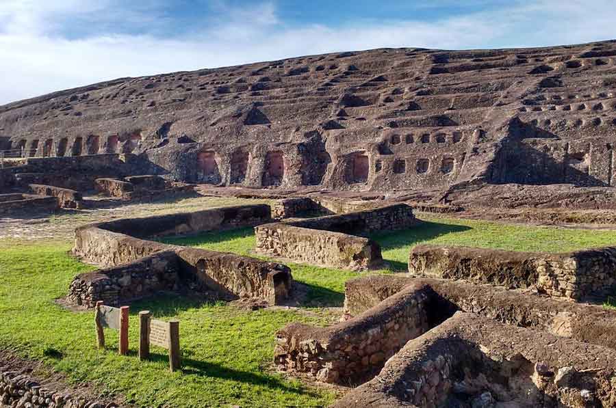 Picture of the author