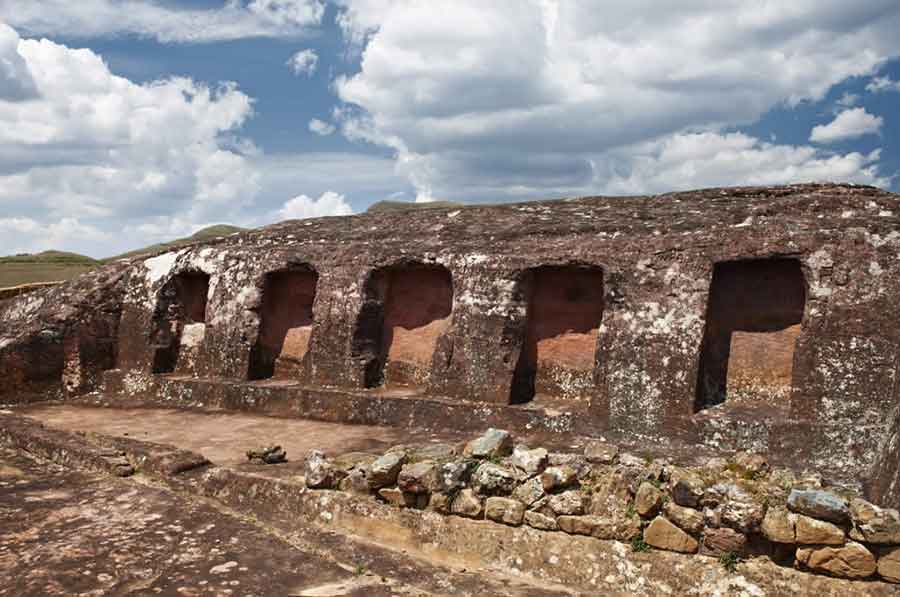 Picture of the author