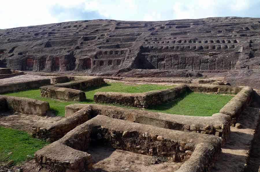 Picture of the author