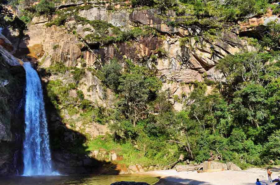 Picture of the author