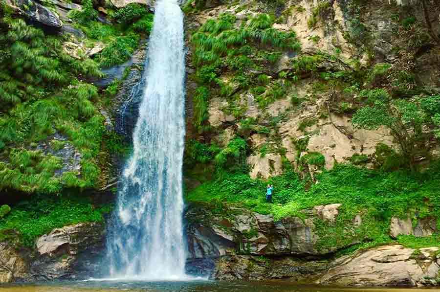 Picture of the author