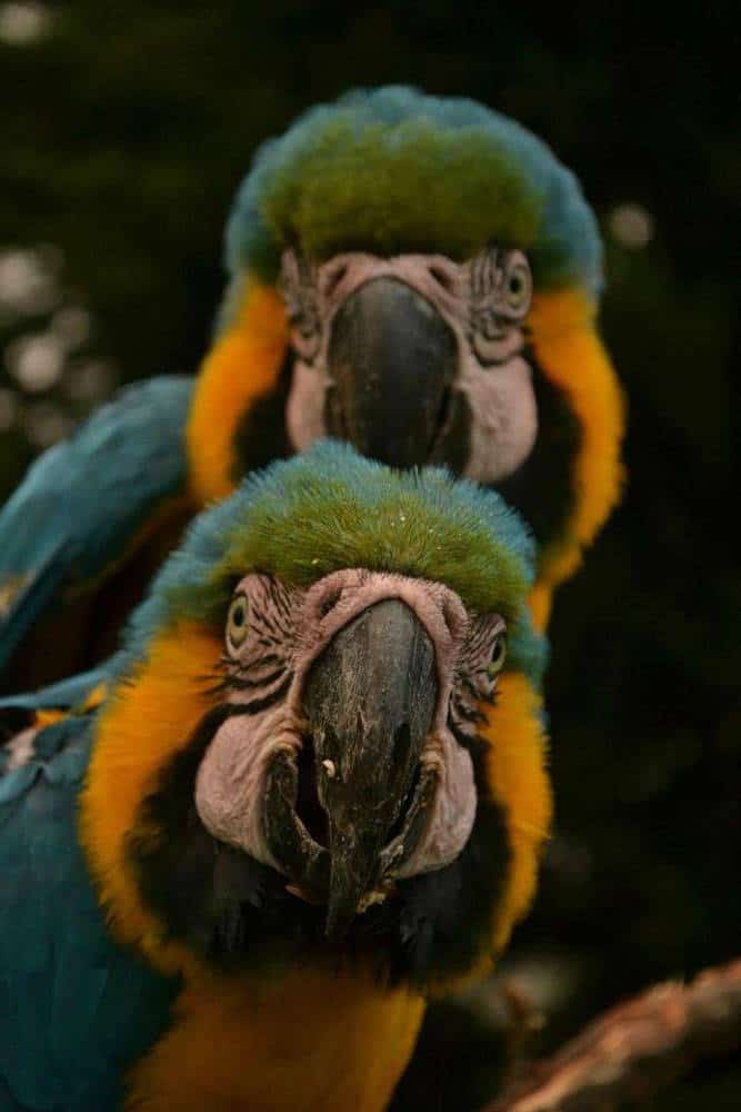 Picture of the author