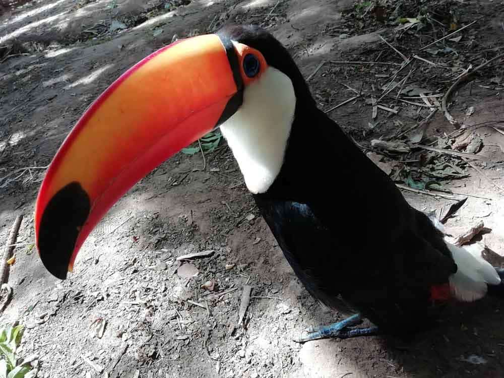 Picture of the author