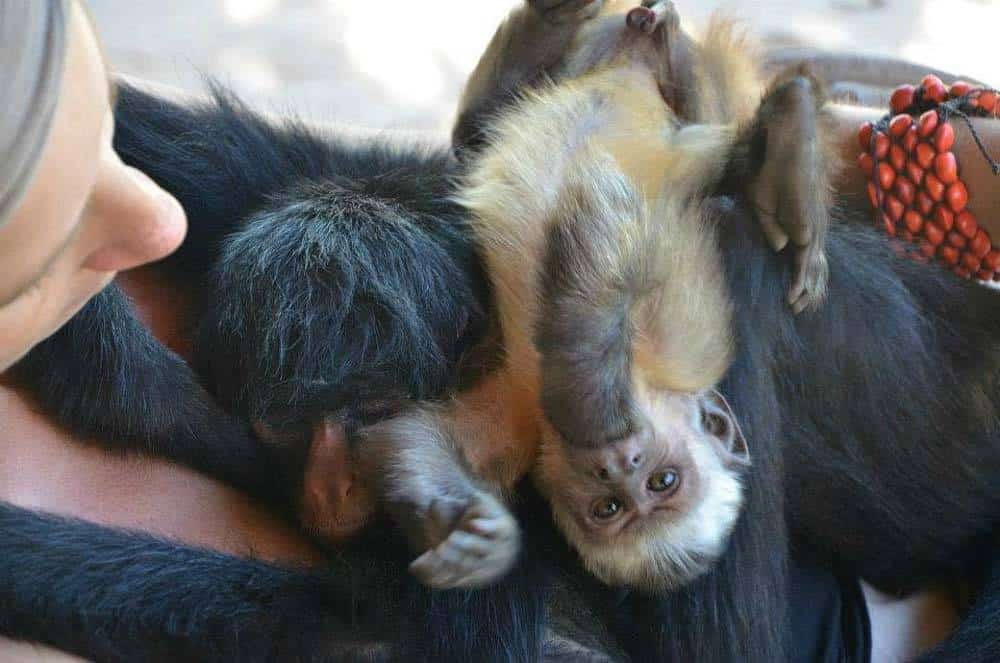 Picture of the author