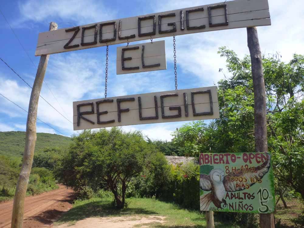 Picture of the author