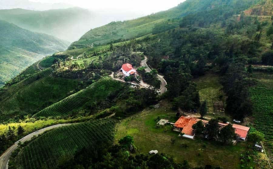 Picture of the author