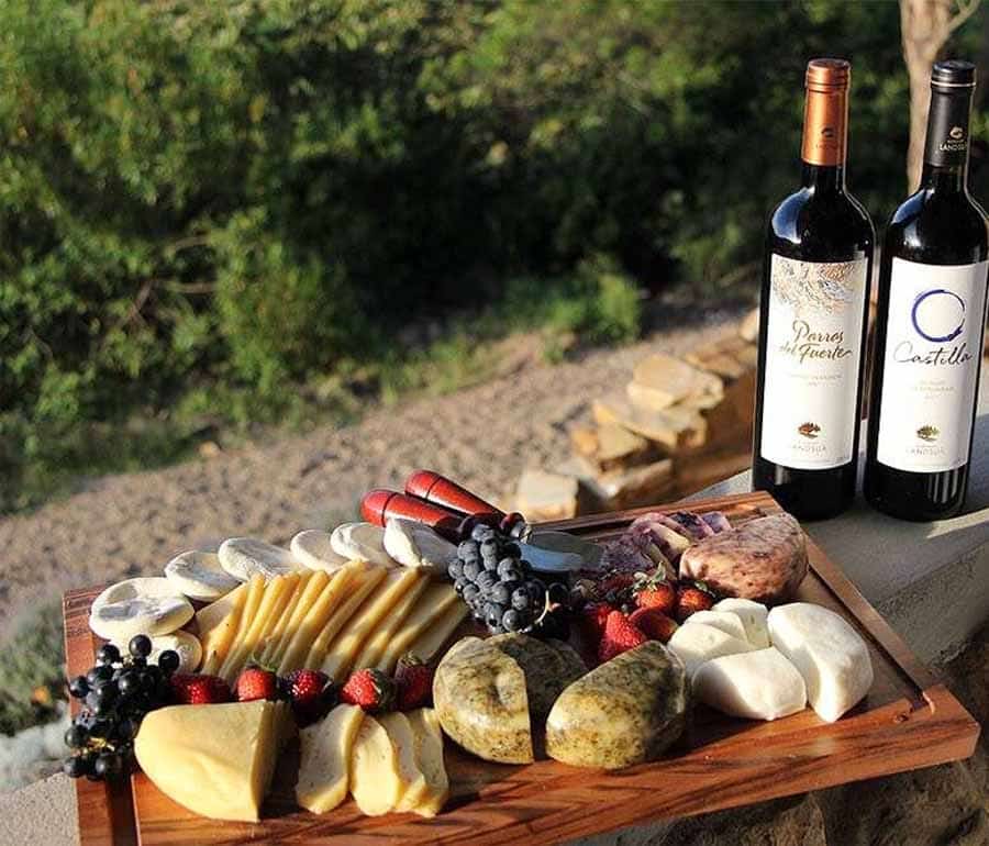 Picture of the author