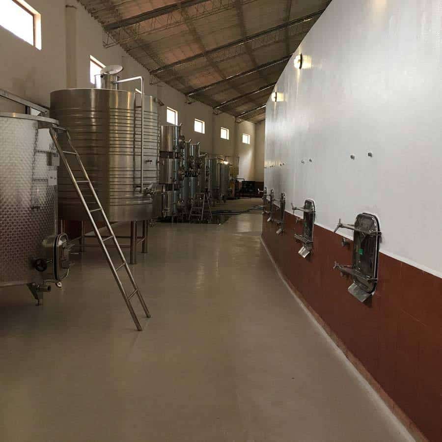 Picture of the author