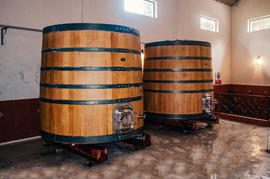 Picture of the author