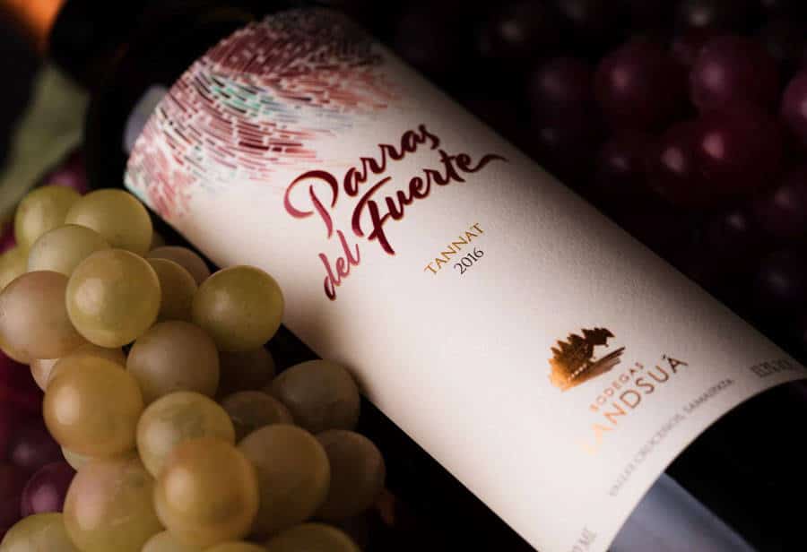 Picture of the author