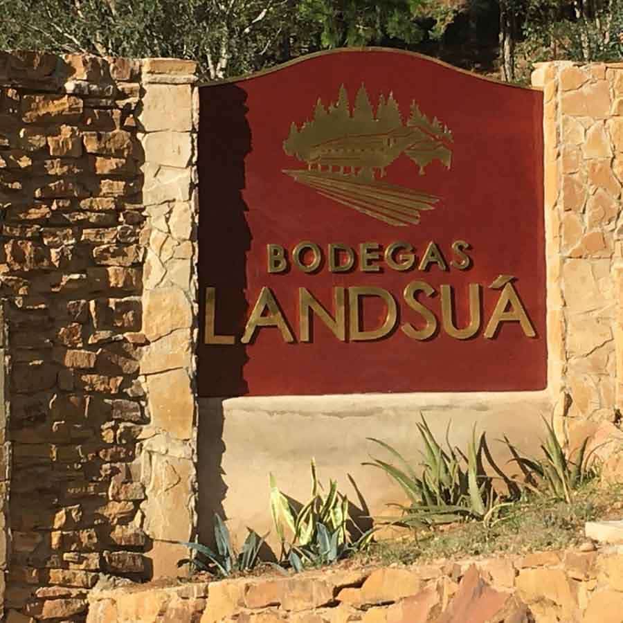 Picture of the author