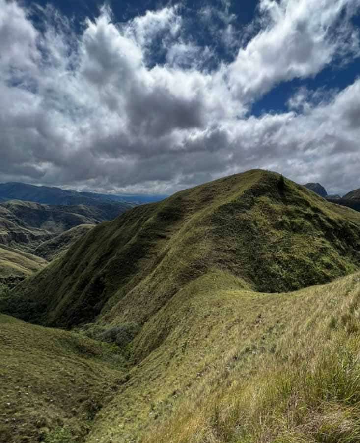 Picture of the author