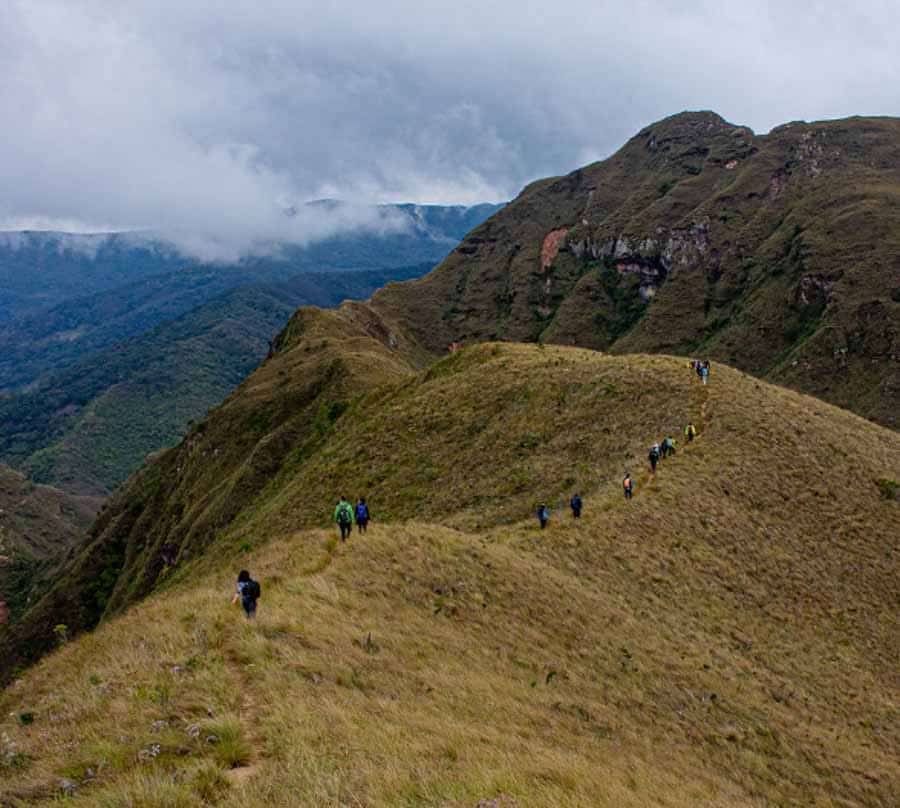 Picture of the author