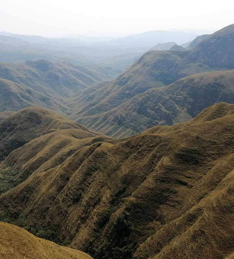 Picture of the author