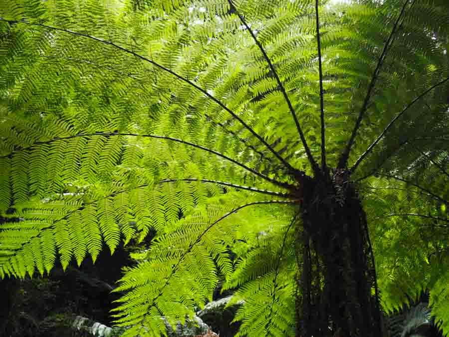 Picture of the author